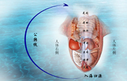 空间医学特色疗法