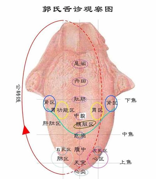 通过舌诊知道什么