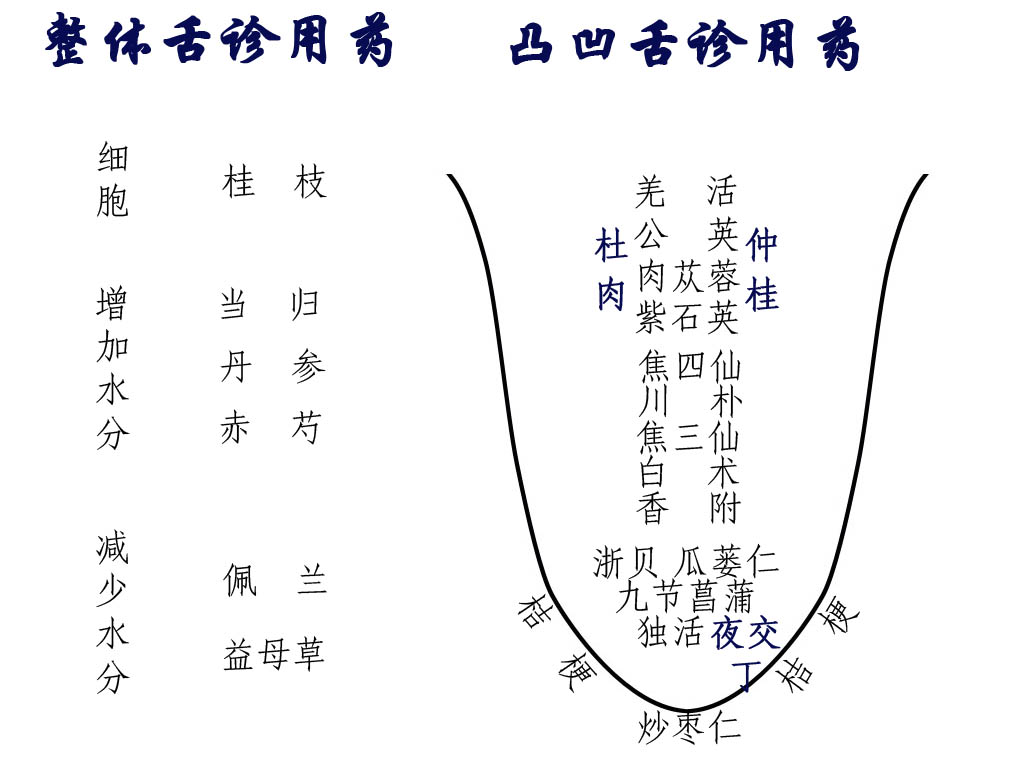 空间医学舌诊思路