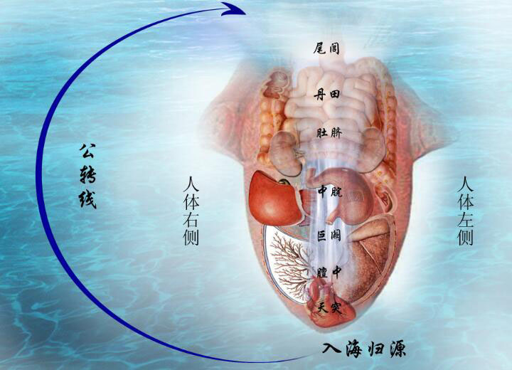 舌质舌苔舌象