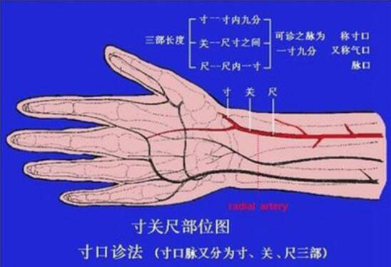 空间医学切脉疗法