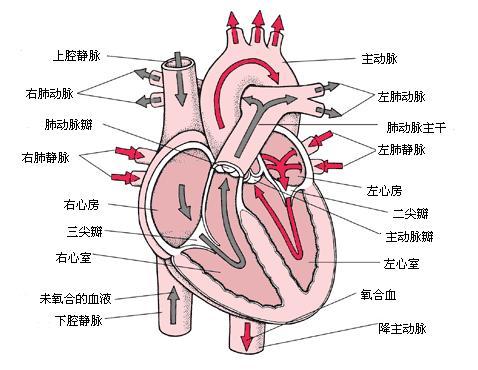 空间医学应用中的三大动力