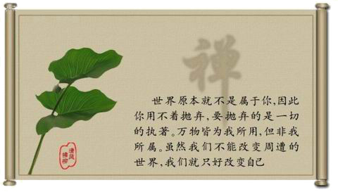 禅悟人生——《感觉》