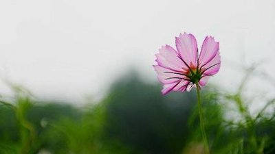 从患者到小学生