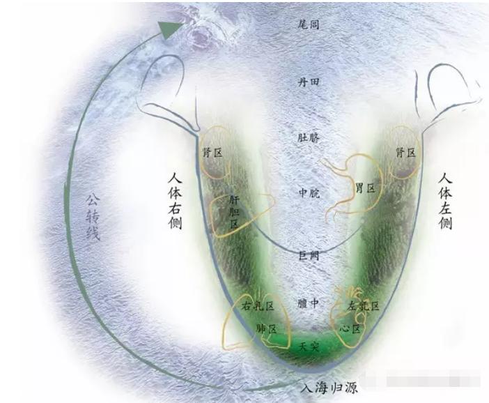 人体空间医学对舌诊论述 