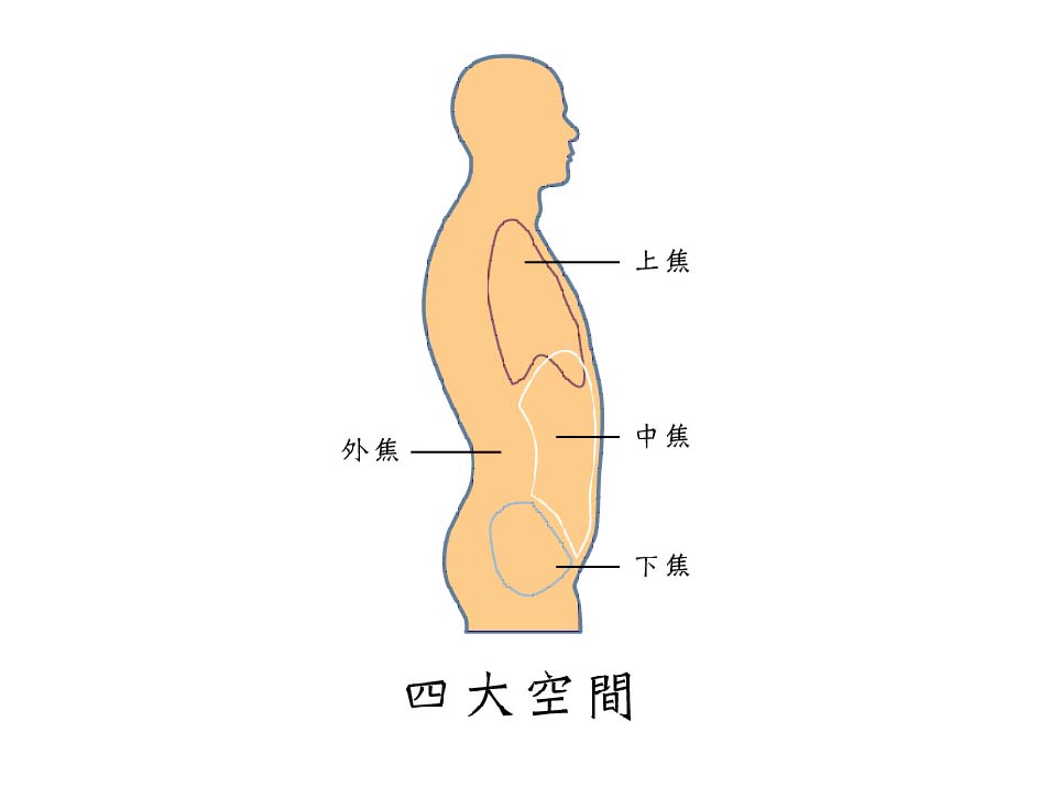 人体的四大空间